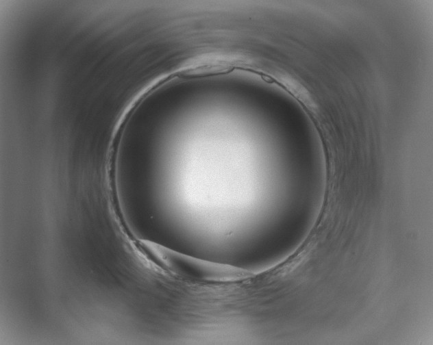 X0000071810912200606301224