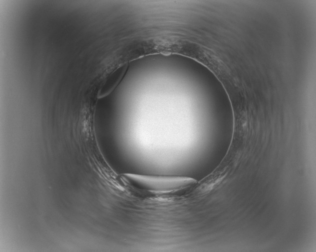 X0000071810914200606301223