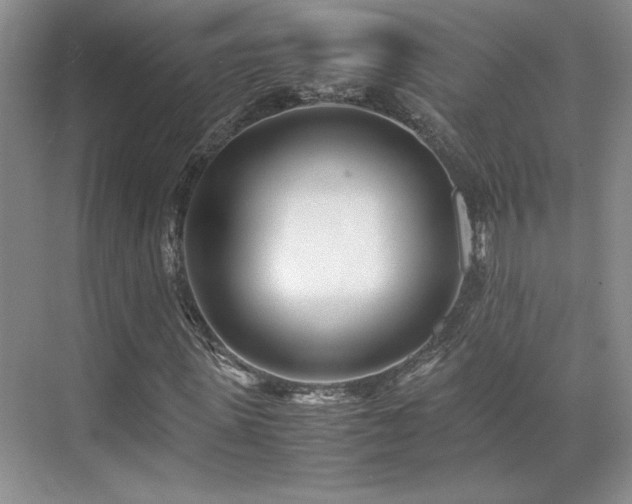 X0000071810915200606301223