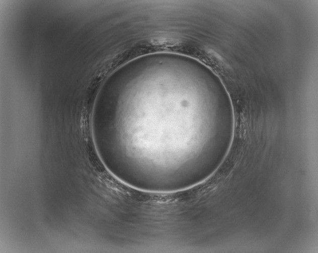 X0000071810917200606301223