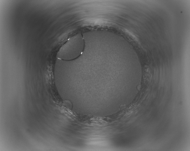 X0000071810918200606301223