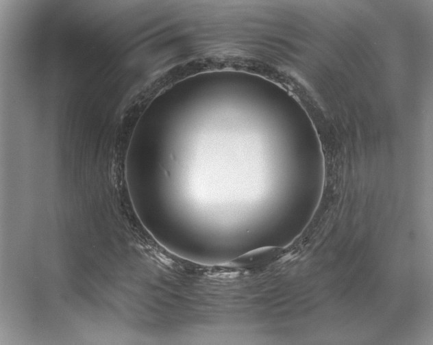 X0000071810919200606301223