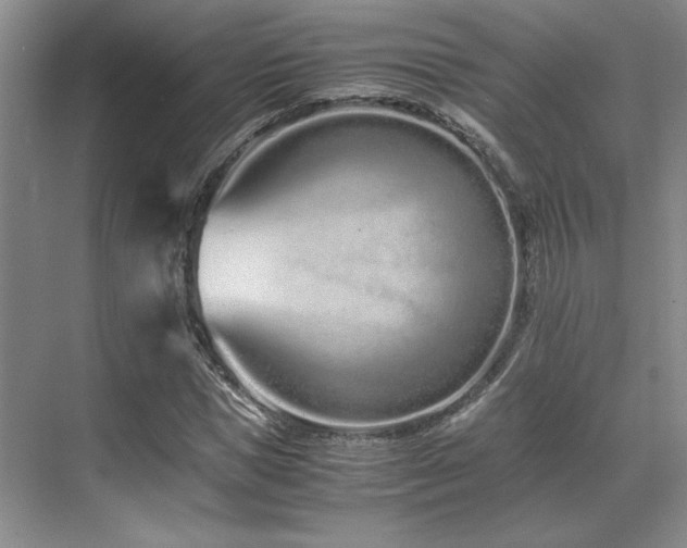 X0000071810921200606301223