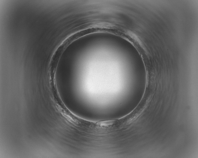 X0000071810923200606301223