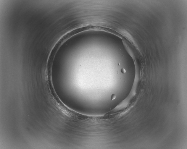 X0000071810924200606301223