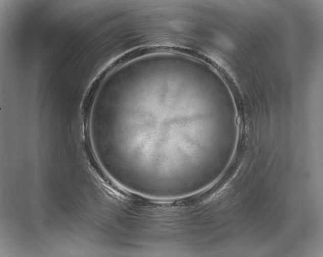 X0000071810925200606301223