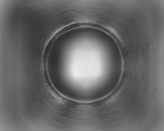 X0000071810927200606301223