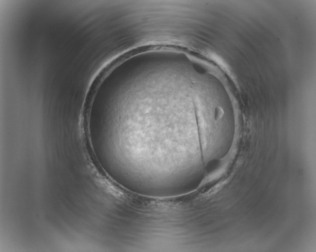 X0000071810928200606301223