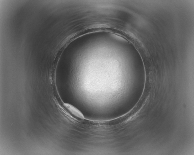 X0000071810929200606301223