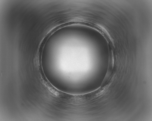 X0000071810931200606301223