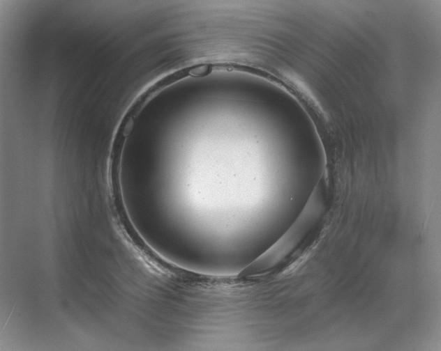 X0000071810932200606301223