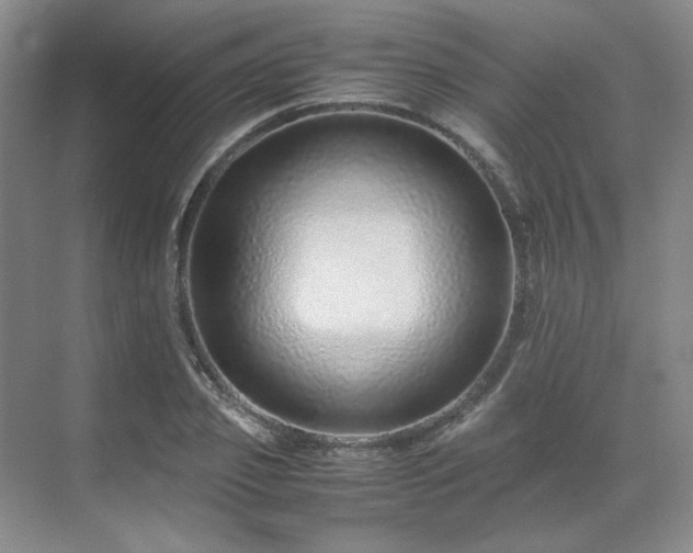 X0000071810933200606301223