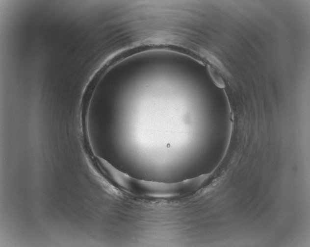 X0000071810934200606301223