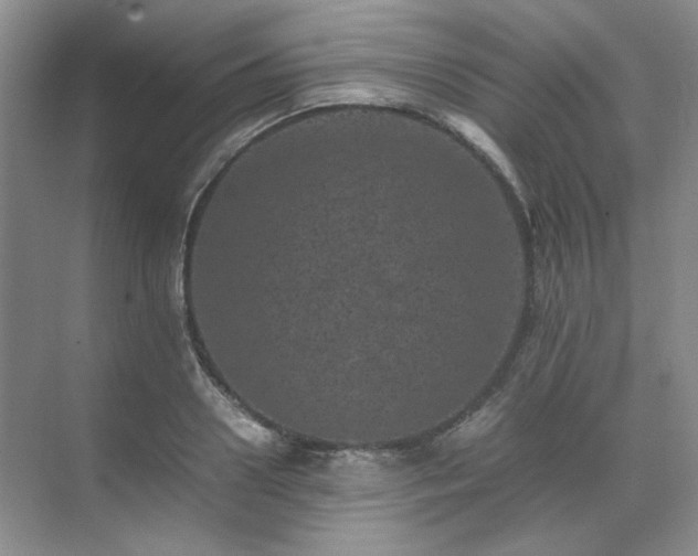 X0000071810938200606301223