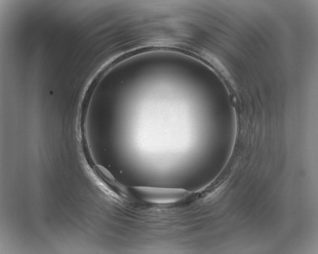 X0000071810939200606301223