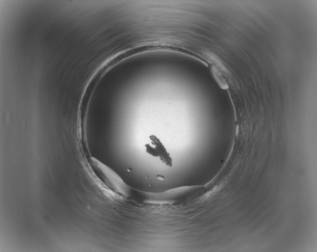 X0000071810940200606301223