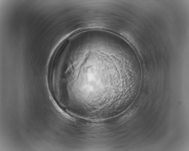 X0000071810941200606301223