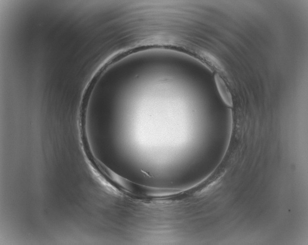 X0000071810942200606301223