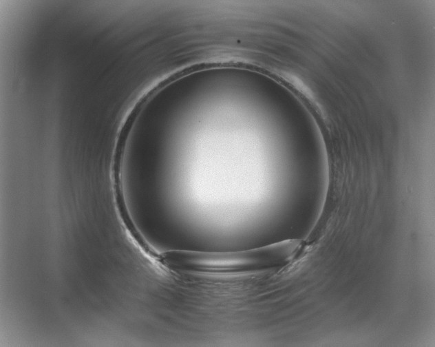 X0000071810943200606301223