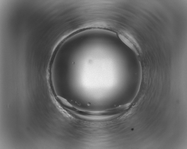 X0000071810944200606301223