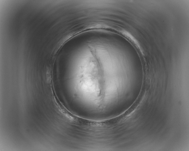 X0000071810945200606301223