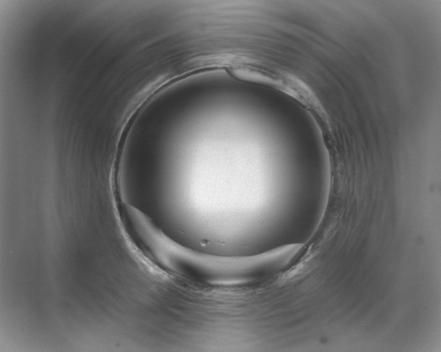 X0000071810946200606301223