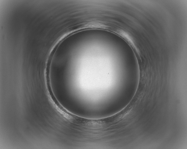 X0000071810947200606301223