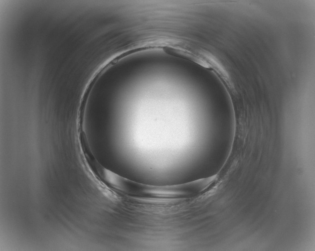 X0000071810948200606301223