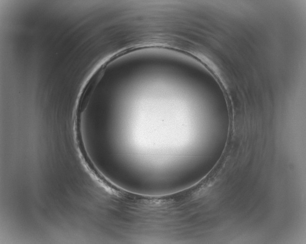 X0000071810949200606301223