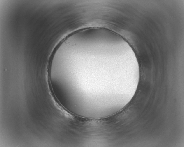 X0000071810950200606301223