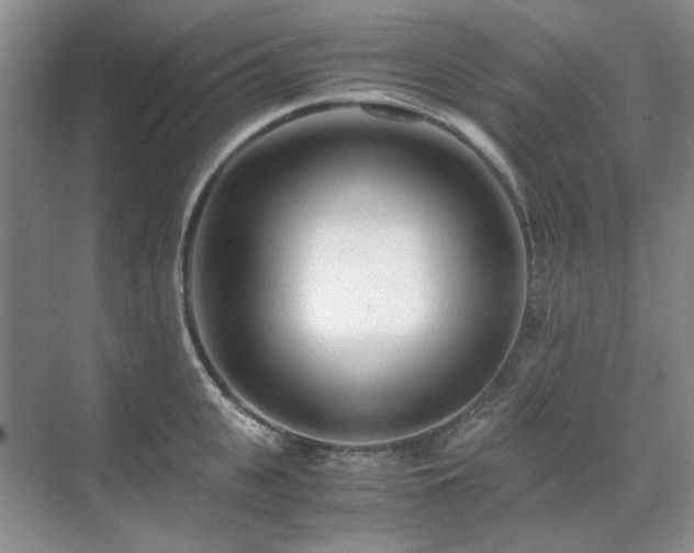 X0000071810951200606301223