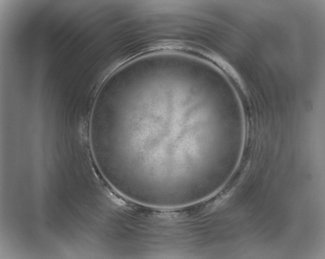 X0000071810953200606301223