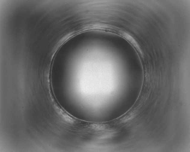 X0000071810954200606301223