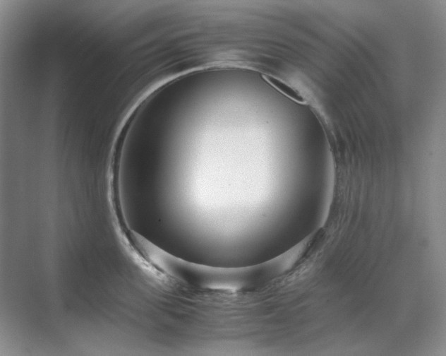 X0000071810955200606301223