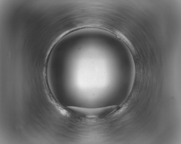 X0000071810956200606301223