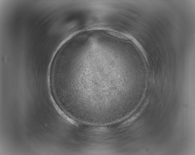 X0000071810957200606301223