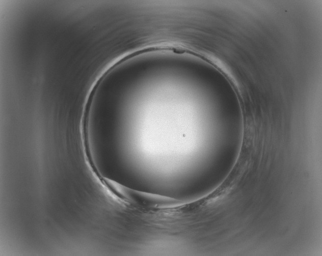 X0000071810959200606301223