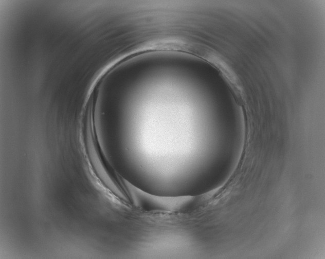 X0000071810960200606301223