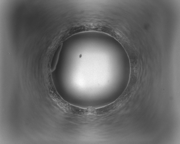 X0000071810961200606301223