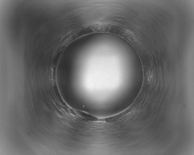 X0000071810964200606301223