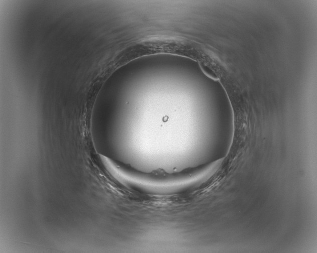 X0000071810965200606301223