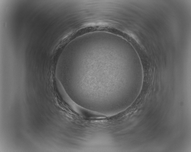 X0000071810967200606301223