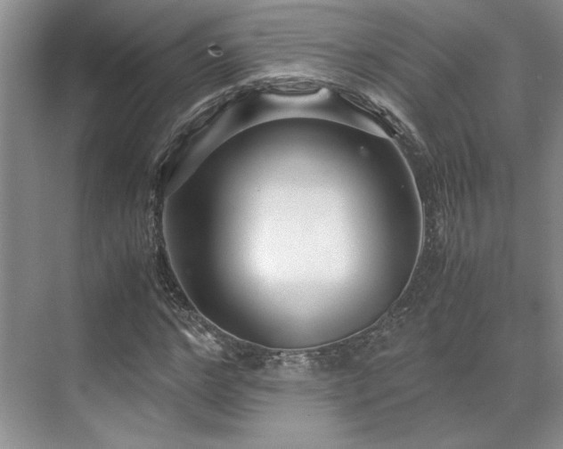 X0000071810968200606301223