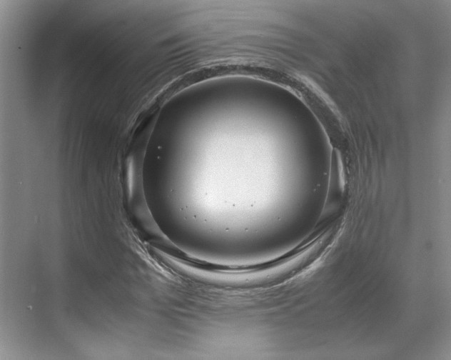 X0000071810969200606301223