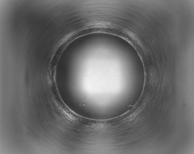 X0000071810970200606301223