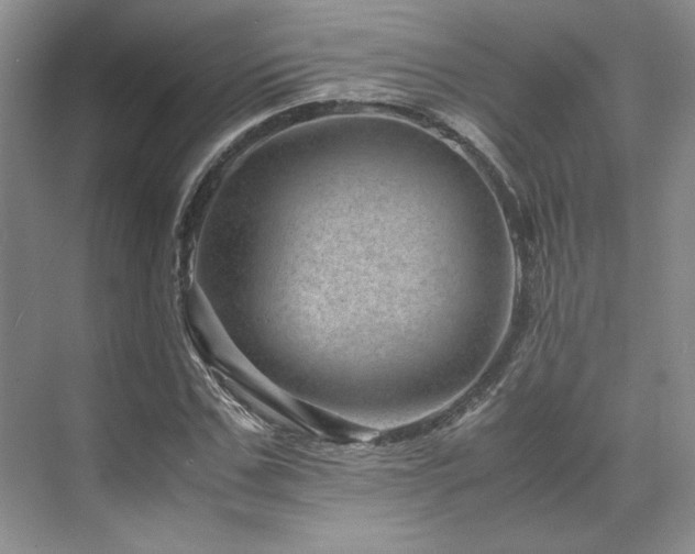 X0000071810971200606301223