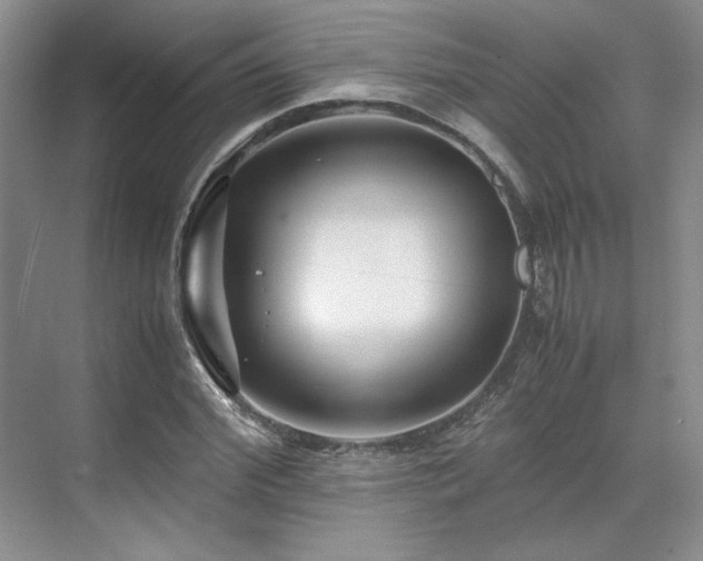 X0000071810972200606301222