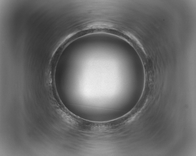 X0000071810973200606301222
