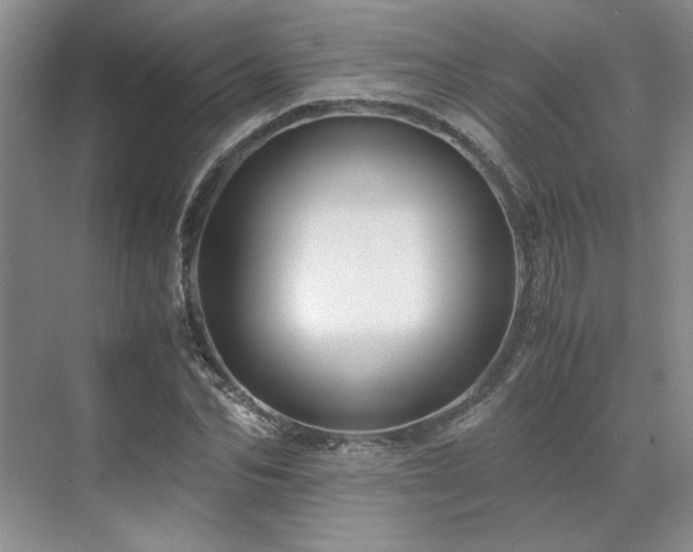 X0000071810974200606301222