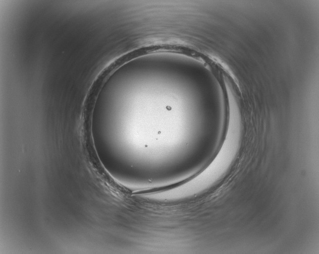 X0000071810975200606301222